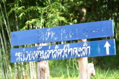 LINE_ALBUM_Post-16-ต.ค.67_241017_54