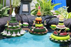 IMG_8860