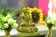 IMG_6665
