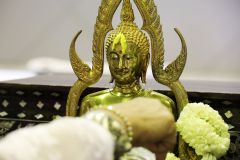 IMG_7402