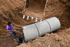 IMG_1950