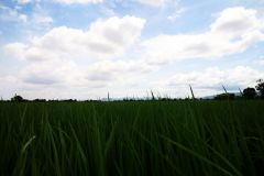 IMG_6054