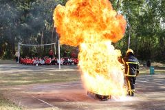 IMG_9559