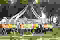 448152006_867775608714205_8608140360600590066_n